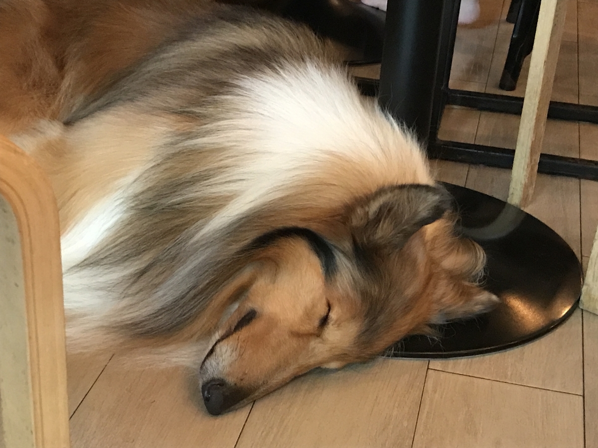 f:id:hajimeblog:20190824143236j:plain f:id:hajimeblog:20190824143236j:plain