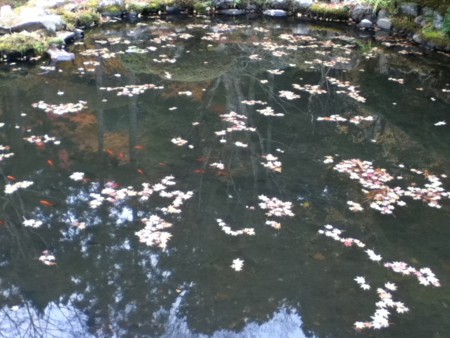 f:id:hajimechan:20121202111031j:image f:id:hajimechan:20121202111031j:image