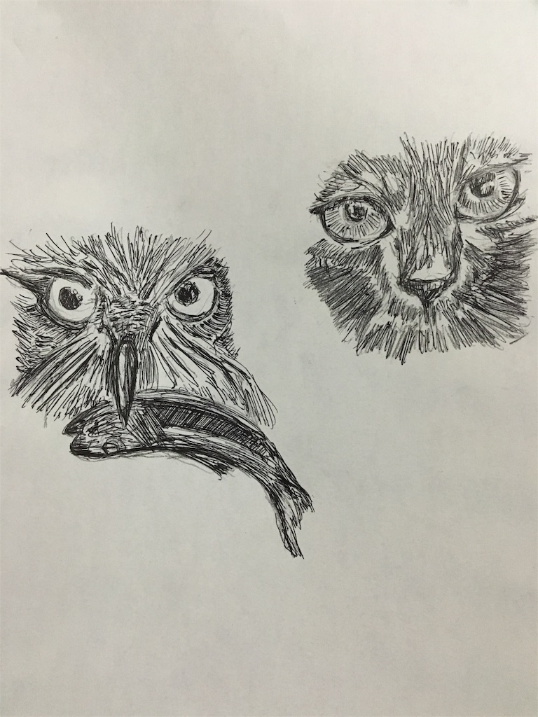 f:id:hajimerie:20160821162443j:image f:id:hajimerie:20160821162443j:image