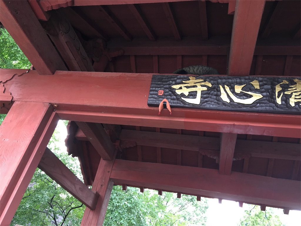 f:id:hajimerie:20160827141624j:image f:id:hajimerie:20160827141624j:image