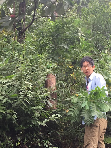 f:id:hajimerie:20160922170853j:image f:id:hajimerie:20160922170853j:image