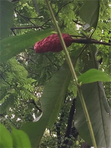 f:id:hajimerie:20160922170858j:image f:id:hajimerie:20160922170858j:image