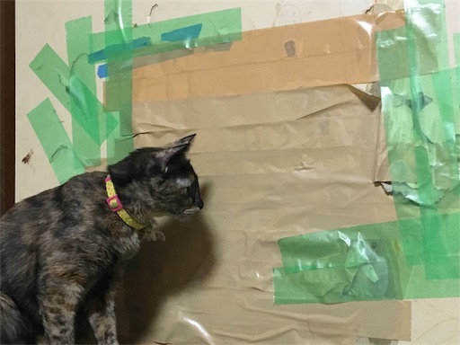 f:id:hajimerie:20170827102556j:image f:id:hajimerie:20170827102556j:image