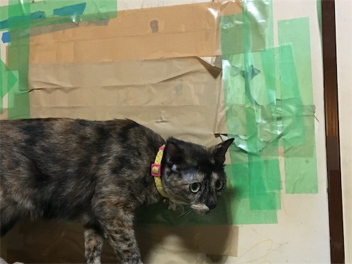 f:id:hajimerie:20170827102617j:image f:id:hajimerie:20170827102617j:image