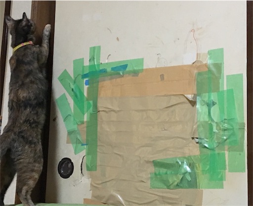 f:id:hajimerie:20170827102627j:image f:id:hajimerie:20170827102627j:image