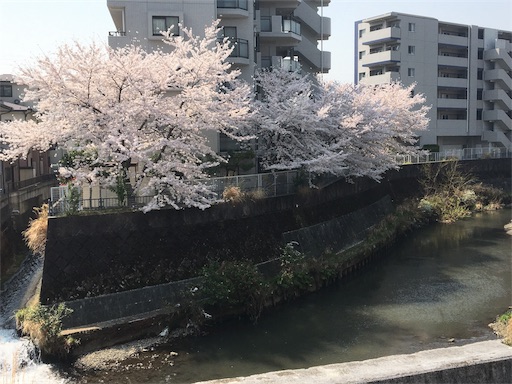 f:id:hajimerie:20180331204446j:image