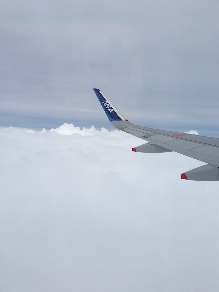 f:id:hajimerie:20200626173327j:image