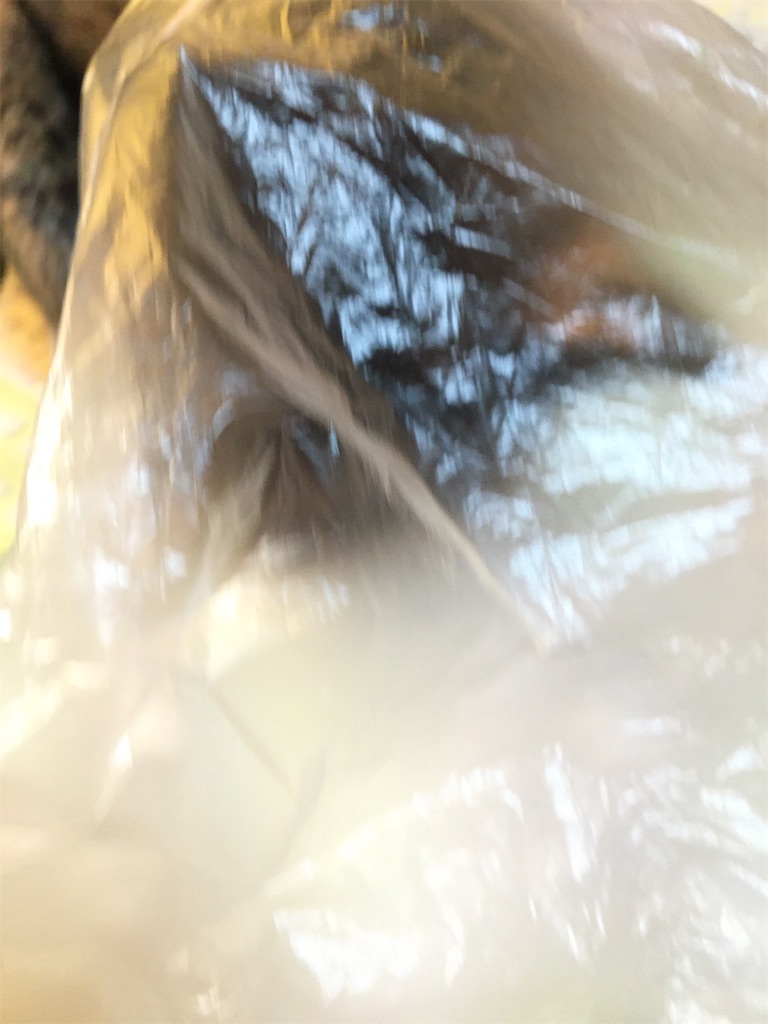 f:id:hajimerie:20210120061242j:image