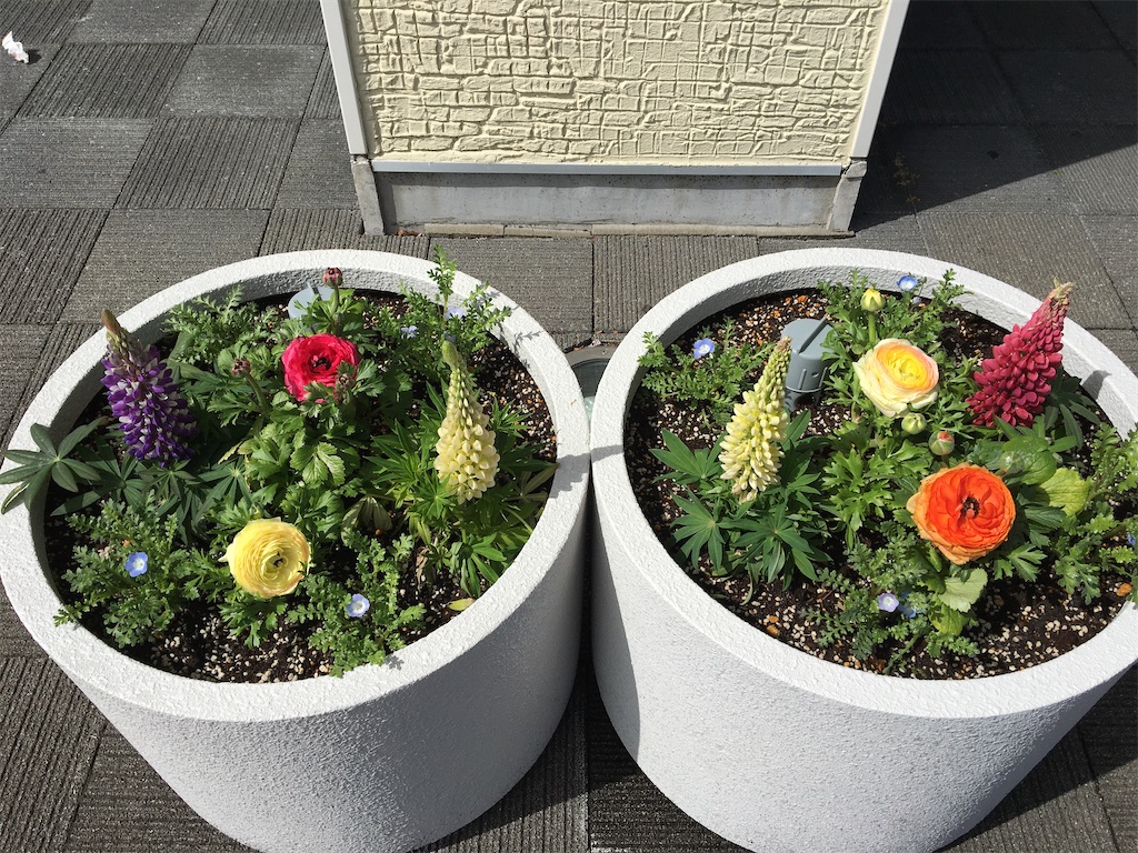 f:id:hajimerie:20210316060624j:image f:id:hajimerie:20210316060624j:image