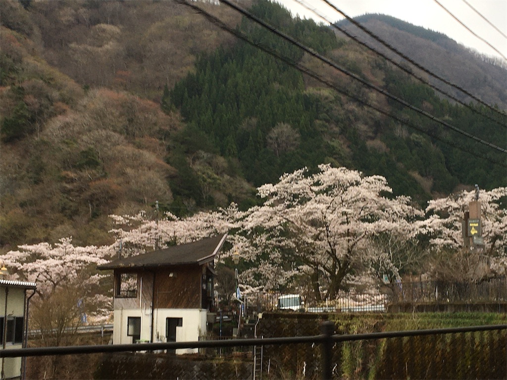 f:id:hajimerie:20210329041027j:image f:id:hajimerie:20210329041027j:image
