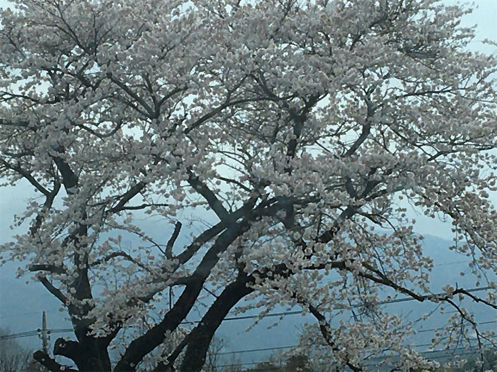 f:id:hajimerie:20210329041201j:image f:id:hajimerie:20210329041201j:image