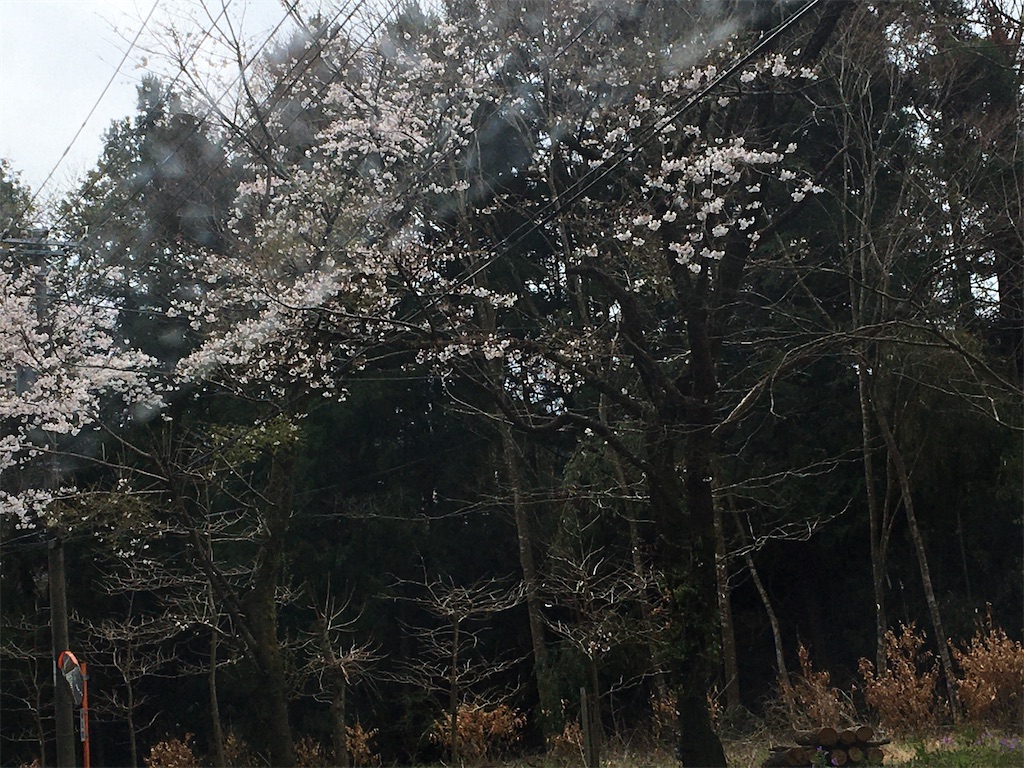 f:id:hajimerie:20210329041257j:image f:id:hajimerie:20210329041257j:image