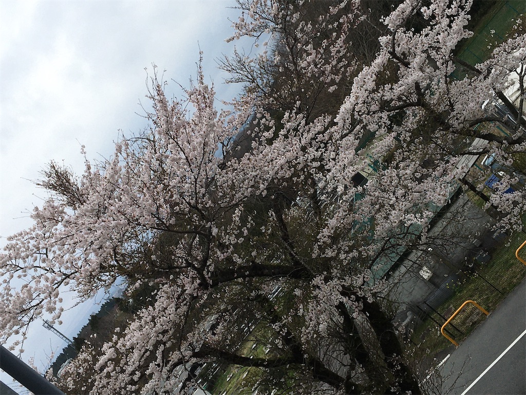 f:id:hajimerie:20210329041410j:image f:id:hajimerie:20210329041410j:image