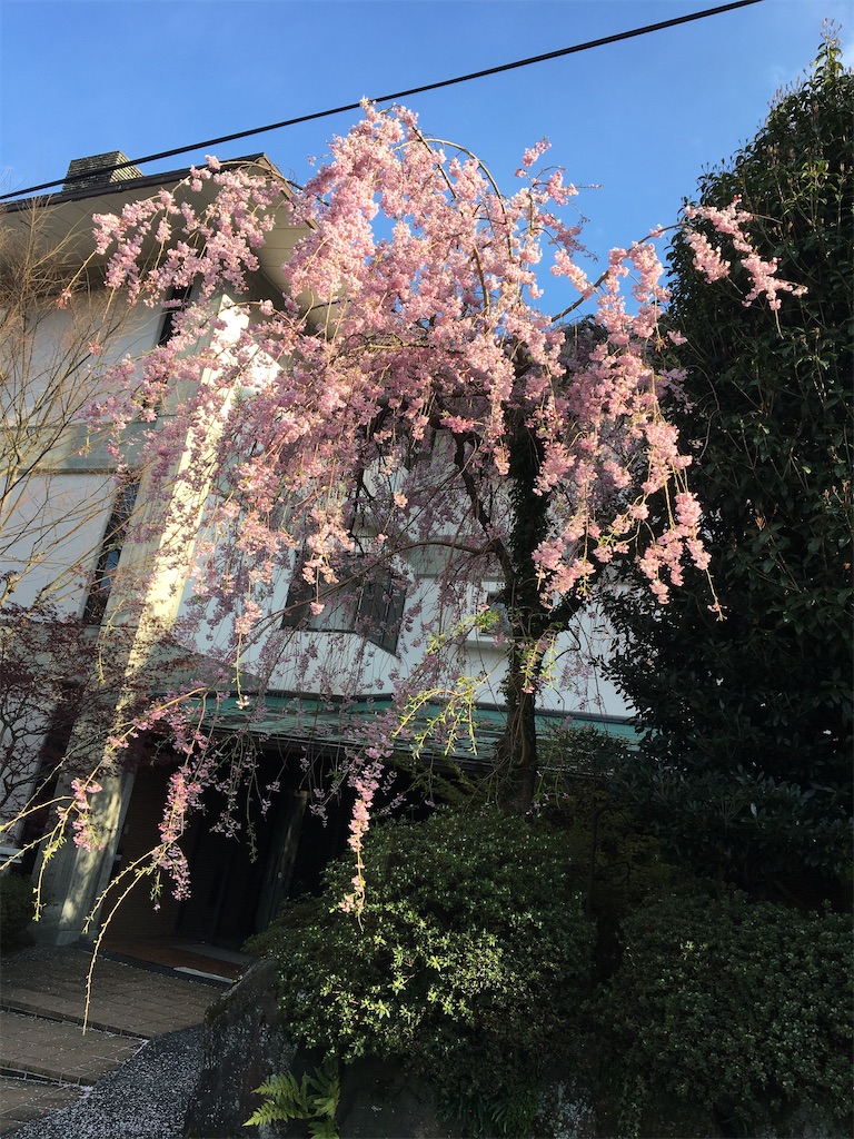 f:id:hajimerie:20210406222014j:image f:id:hajimerie:20210406222014j:image