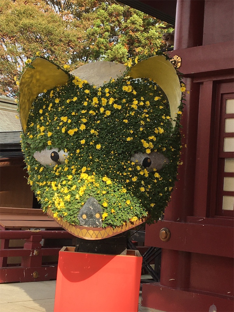 f:id:hajimerie:20211031095915j:image