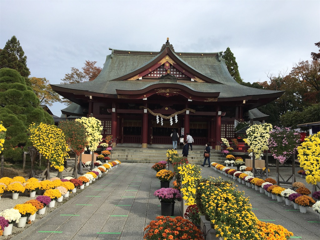 f:id:hajimerie:20211031161853j:image