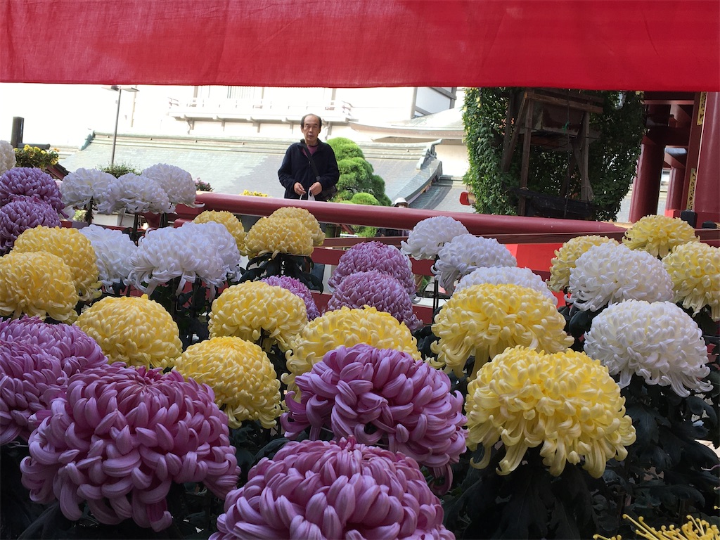 f:id:hajimerie:20211031162045j:image