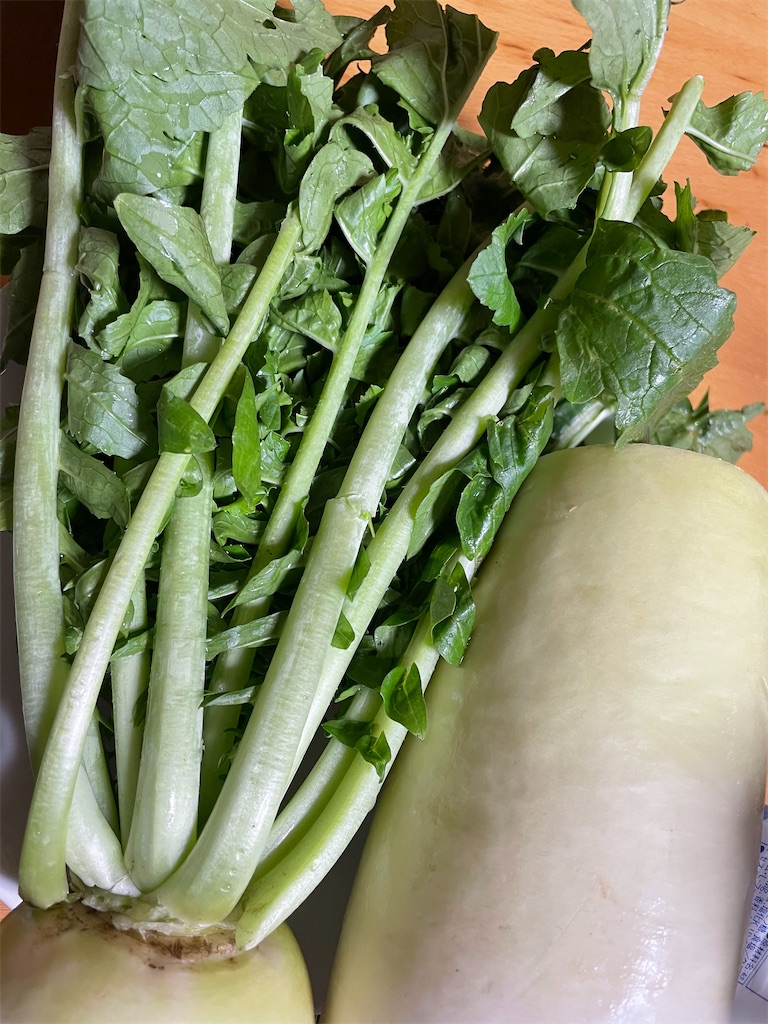 f:id:hajimerie:20211124055626j:image f:id:hajimerie:20211124055626j:image