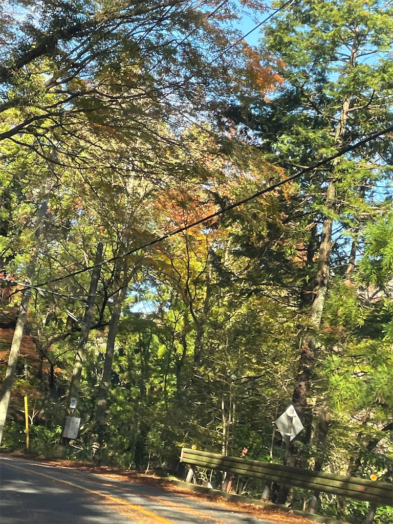 f:id:hajimerie:20211201201333j:image f:id:hajimerie:20211201201333j:image