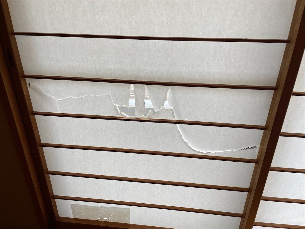 f:id:hajimerie:20220708165745j:image f:id:hajimerie:20220708165745j:image