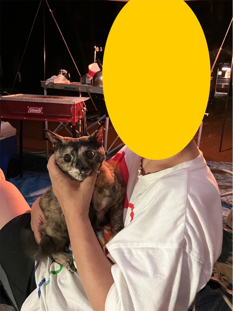 f:id:hajimerie:20220728024152j:image