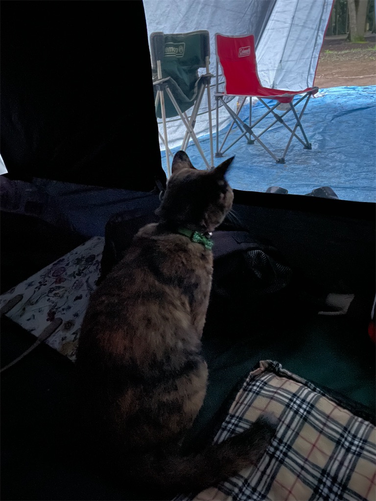 f:id:hajimerie:20220728045547j:image f:id:hajimerie:20220728045547j:image