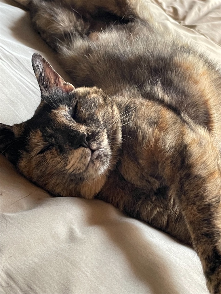 f:id:hajimerie:20220930045524j:image f:id:hajimerie:20220930045524j:image