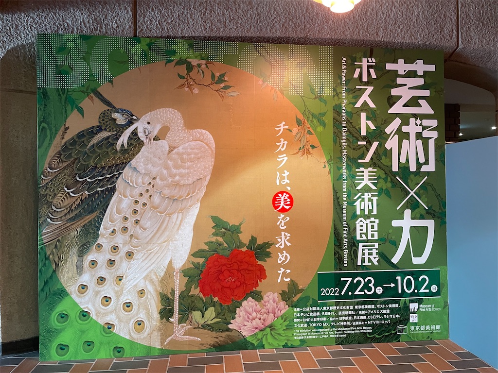 f:id:hajimerie:20221011004003j:image f:id:hajimerie:20221011004003j:image