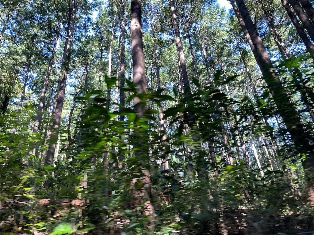 f:id:hajimerie:20221030055535j:image f:id:hajimerie:20221030055535j:image