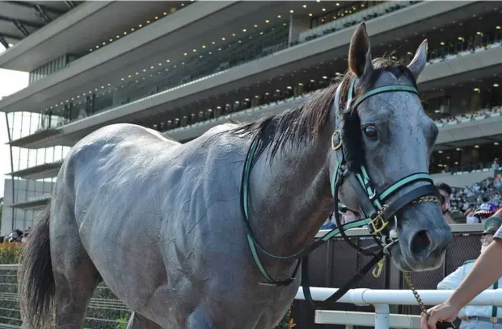 f:id:hajimerie:20230124091807j:image f:id:hajimerie:20230124091807j:image