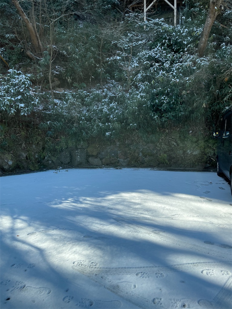 f:id:hajimerie:20230129042557j:image f:id:hajimerie:20230129042557j:image