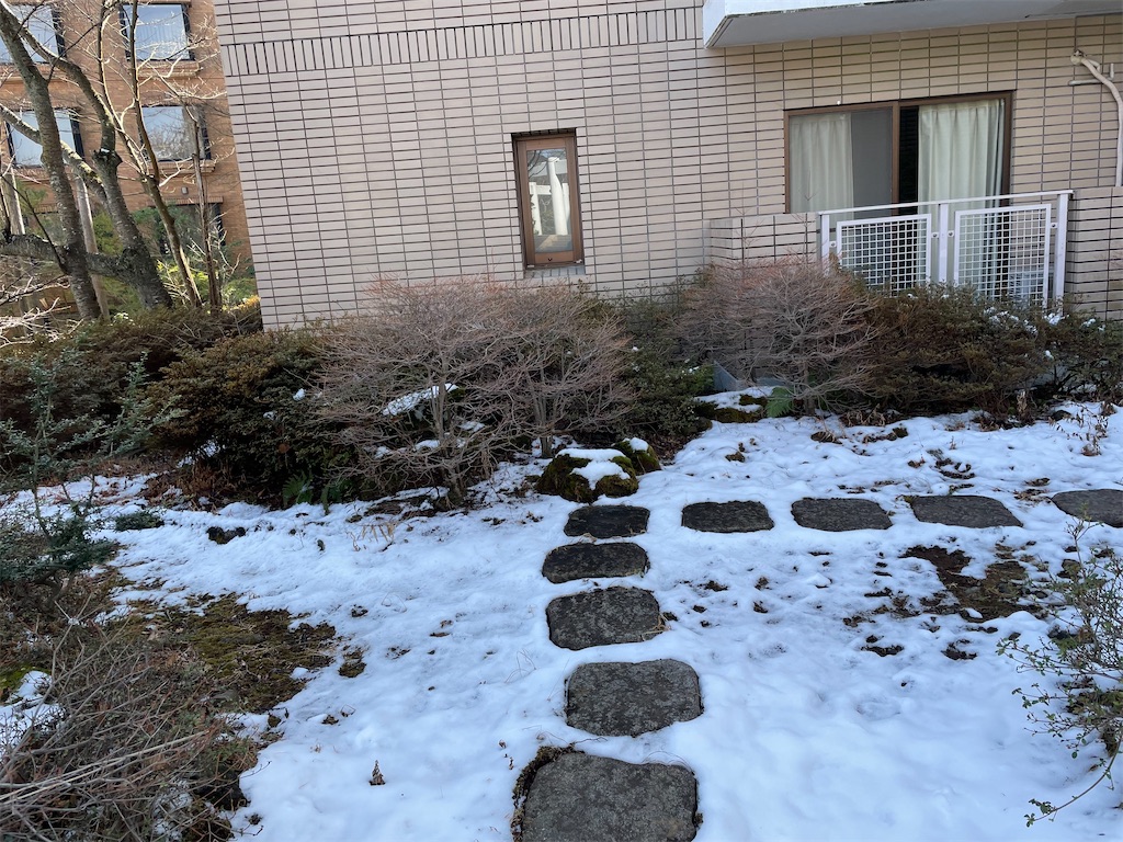 f:id:hajimerie:20230219061255j:image f:id:hajimerie:20230219061255j:image