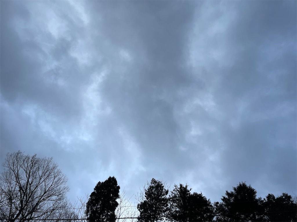 f:id:hajimerie:20230219213217j:image