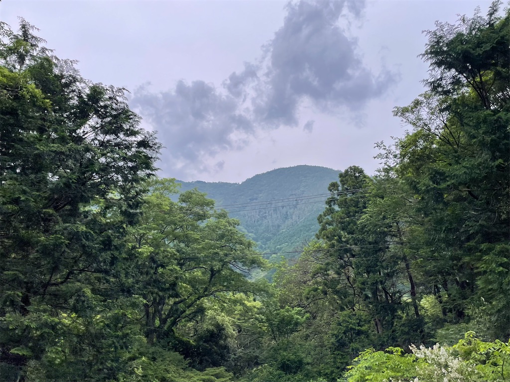 f:id:hajimerie:20230607032607j:image