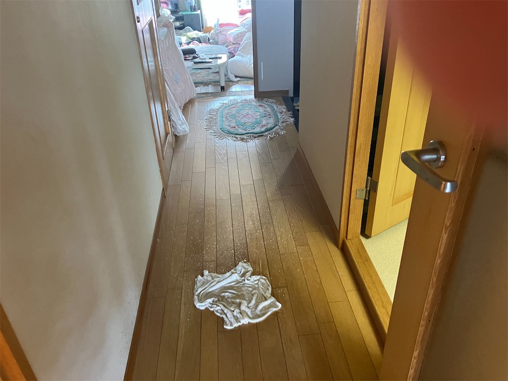 f:id:hajimerie:20230817081916j:image