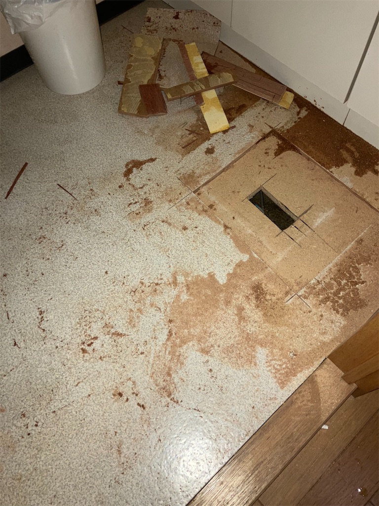 f:id:hajimerie:20230817081919j:image