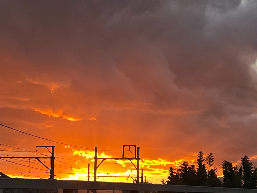 f:id:hajimerie:20240108061139j:image f:id:hajimerie:20240108061139j:image