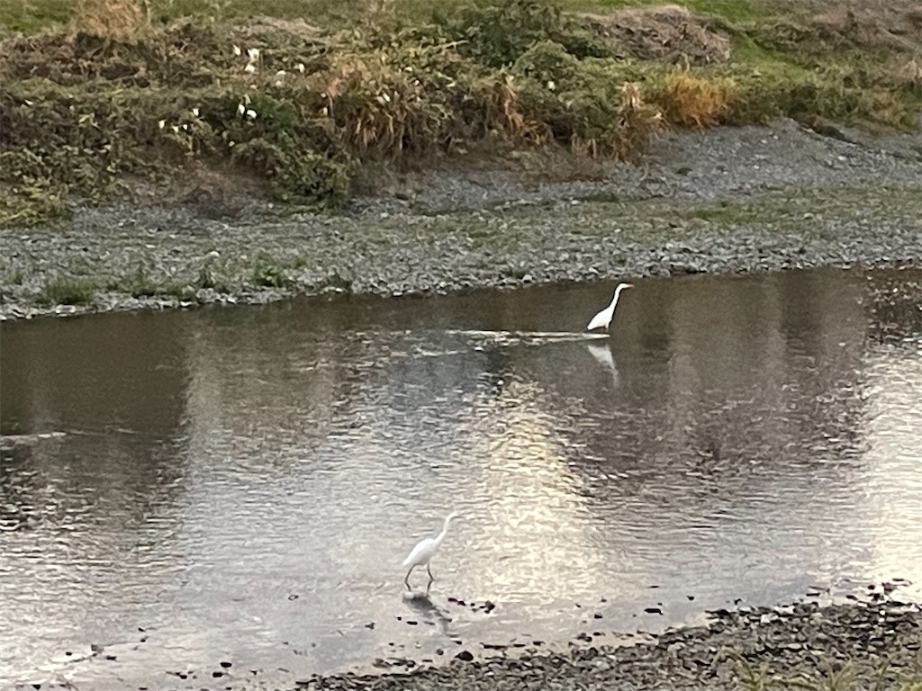 f:id:hajimerie:20240108061143j:image f:id:hajimerie:20240108061143j:image