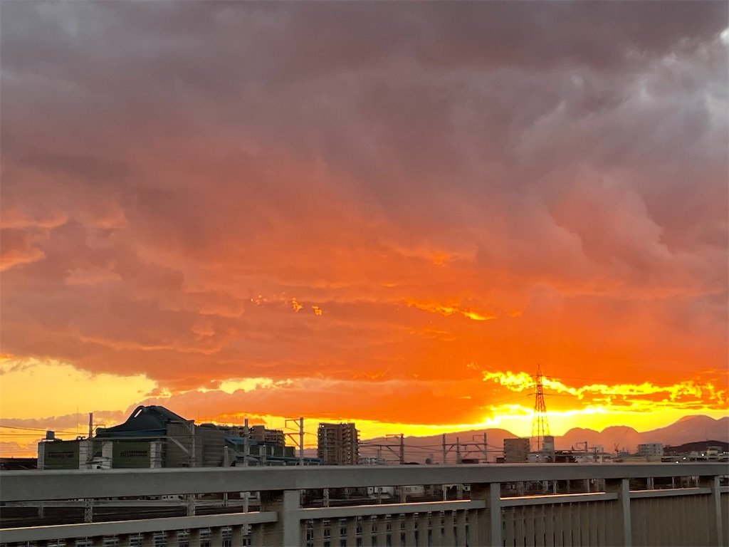 f:id:hajimerie:20240108061149j:image f:id:hajimerie:20240108061149j:image