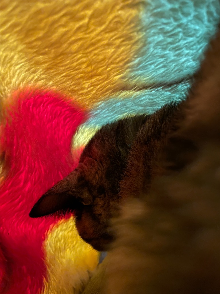 f:id:hajimerie:20240108063729j:image f:id:hajimerie:20240108063729j:image