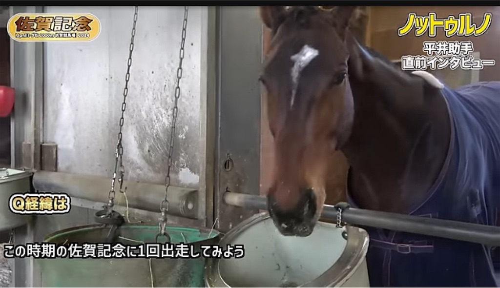 f:id:hajimerie:20240213023143j:image f:id:hajimerie:20240213023143j:image