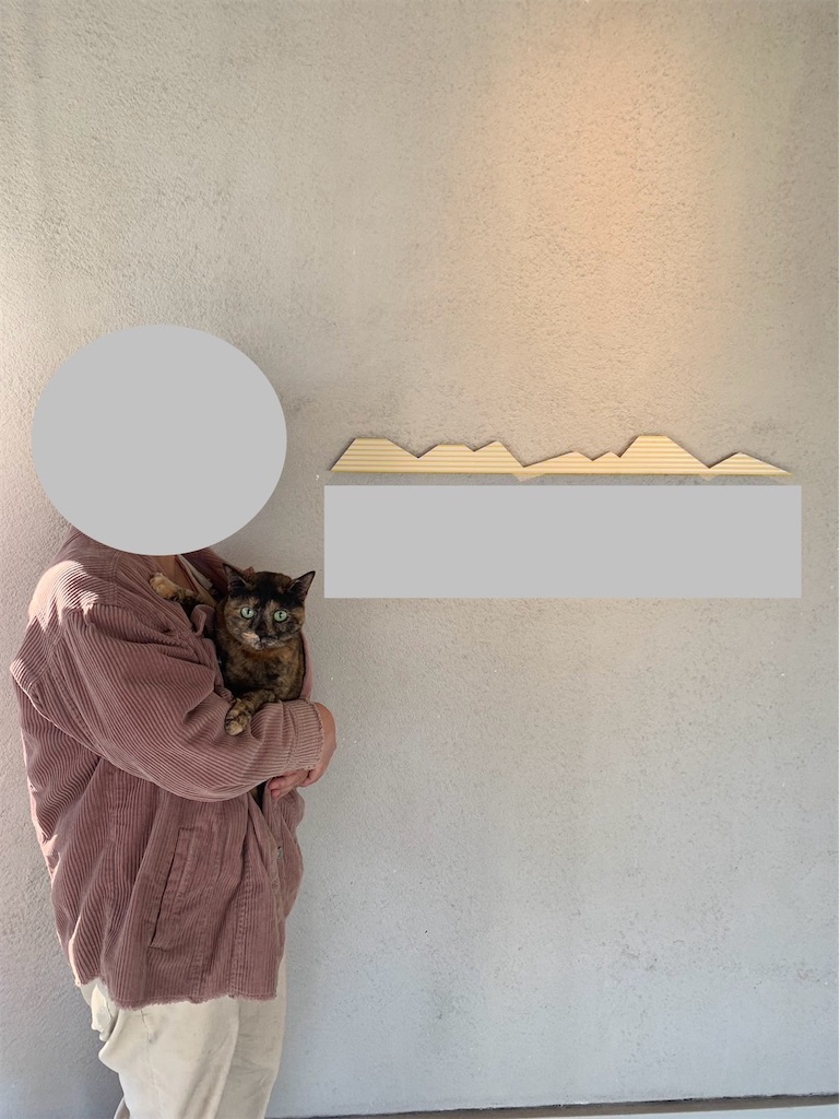 f:id:hajimerie:20240216042849j:image f:id:hajimerie:20240216042849j:image