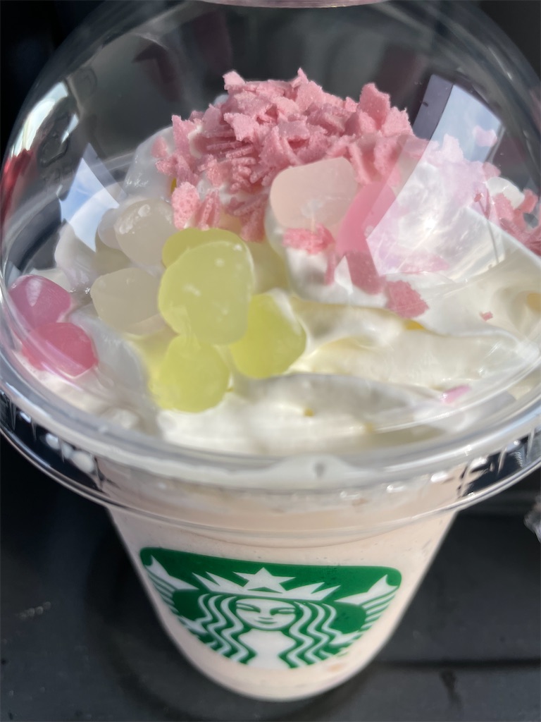 f:id:hajimerie:20240220200009j:image f:id:hajimerie:20240220200009j:image