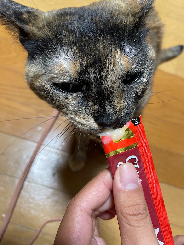 f:id:hajimerie:20240423042720j:image f:id:hajimerie:20240423042720j:image