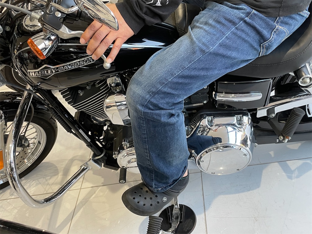 f:id:hajimerie:20241002051257j:image f:id:hajimerie:20241002051257j:image