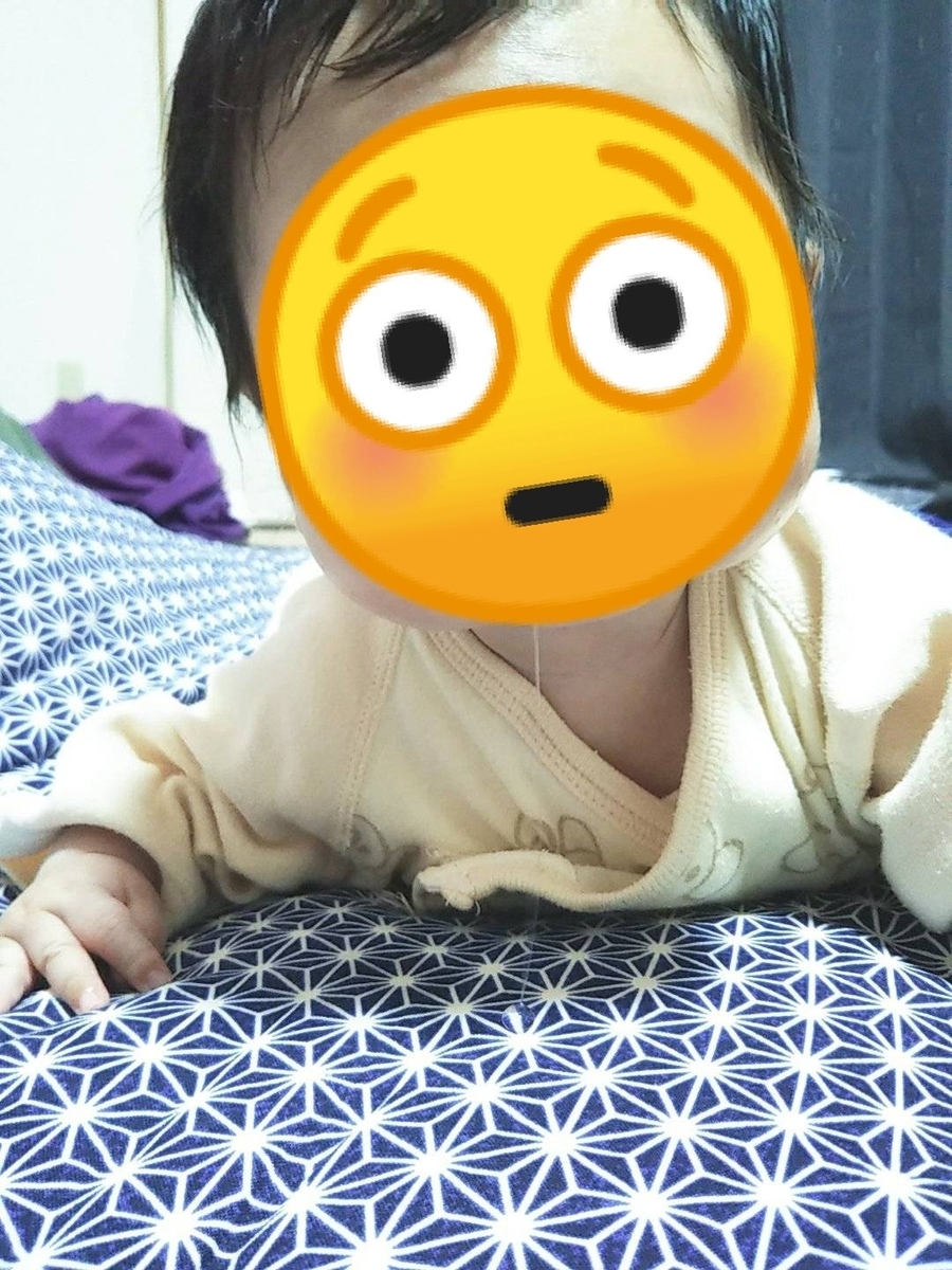 f:id:hajimetenokosodate:20190625225028j:plain f:id:hajimetenokosodate:20190625225028j:plain