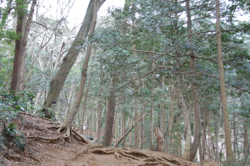 f:id:hajisan:20090209103738j:image f:id:hajisan:20090209103738j:image