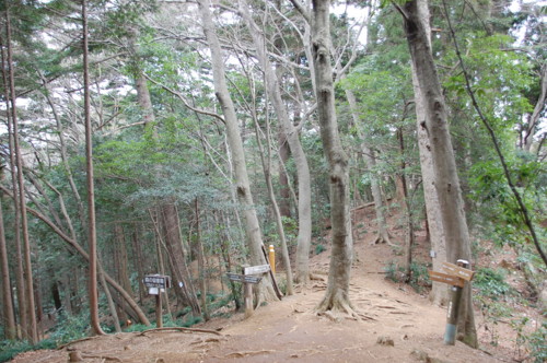 f:id:hajisan:20090209103934j:image f:id:hajisan:20090209103934j:image