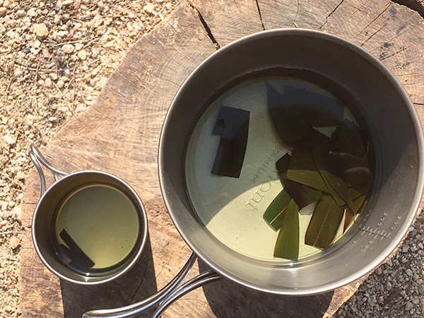 f:id:hajisummer:20190226204615j:plain f:id:hajisummer:20190226204615j:plain