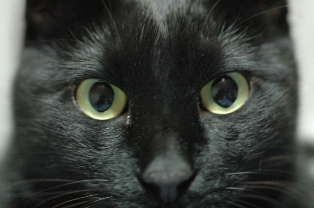 f:id:hajisummer:20190828223044j:plain f:id:hajisummer:20190828223044j:plain